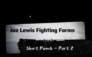 Short Punch - Part 2